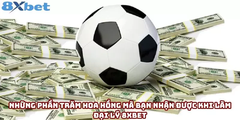 Những phần trăm hoa hồng mà bạn nhận được khi làm đại lý 8xbet