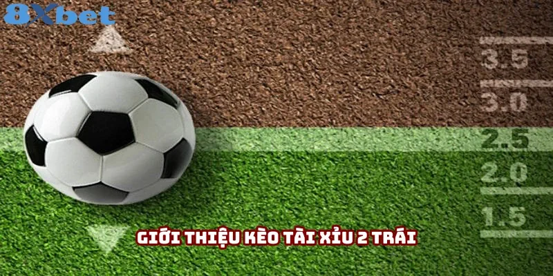 Thông tin giới thiệu kèo tài xỉu 2 trái Thông tin giới thiệu kèo tài xỉu 2 trái