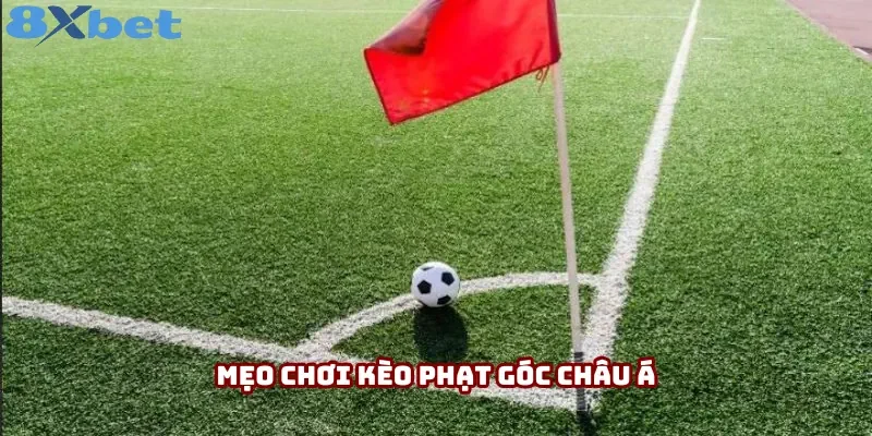 Mẹo chơi kèo phạt góc Châu Á Mẹo chơi kèo phạt góc Châu Á
