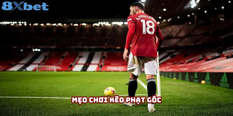 Mẹo Chơi Kèo Phạt Góc 8XBET: Hướng Dẫn Tân Binh Vào Tiền